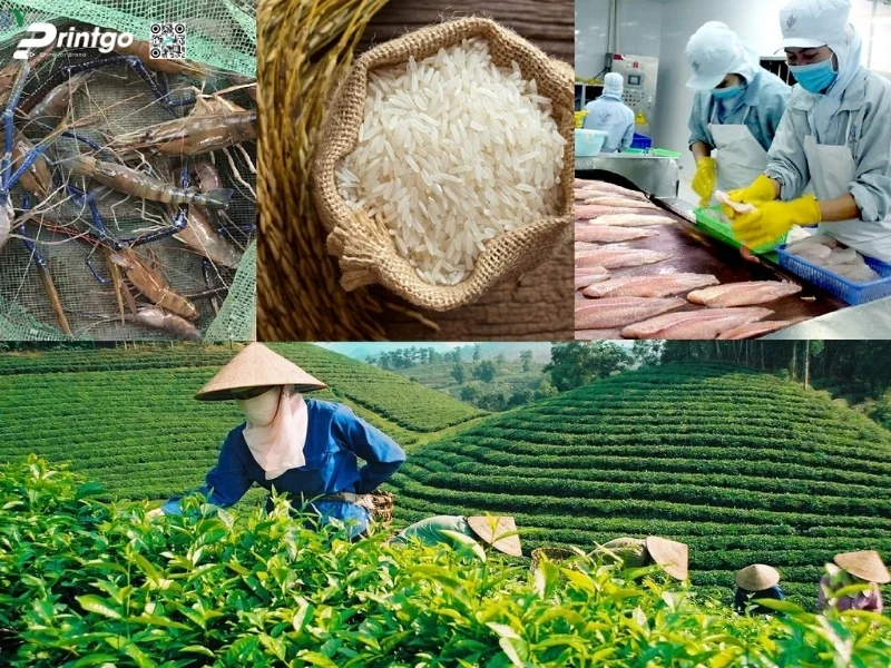 Xuất khẩu nông sản sang Trung Quốc cần có những chứng nhận gì?