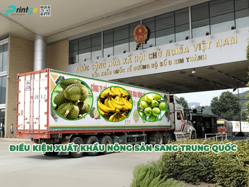 Những điều kiện cho phép nông sản được xuất khẩu sang Trung Quốc