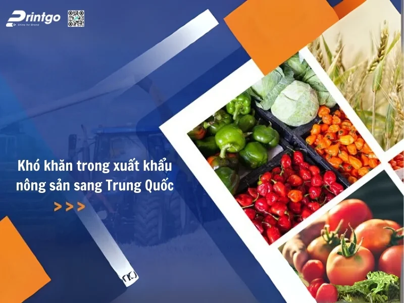 Những khó khăn trong kiểm soát chất lượng và đáp ứng các yêu cầu tiêu chuẩn của Trung Quốc?