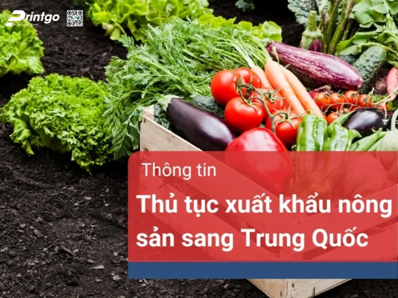 Thủ tục xuất khẩu nông sản sang Trung Quốc - Hồ sơ bao gồm