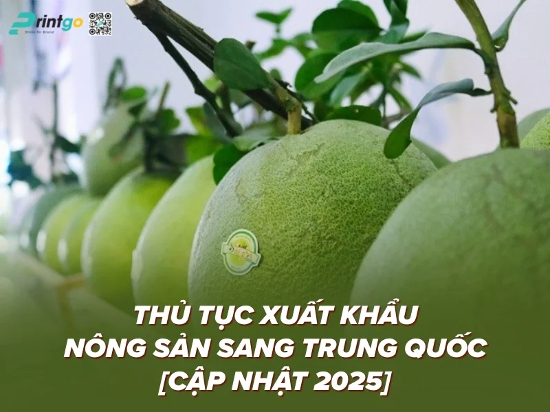 Thủ Tục Xuất Khẩu Nông Sản Sang Trung Quốc [Cập Nhật 2025]