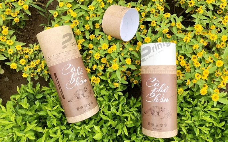 Bao bì đựng nông sản dạng hộp carton cao cấp