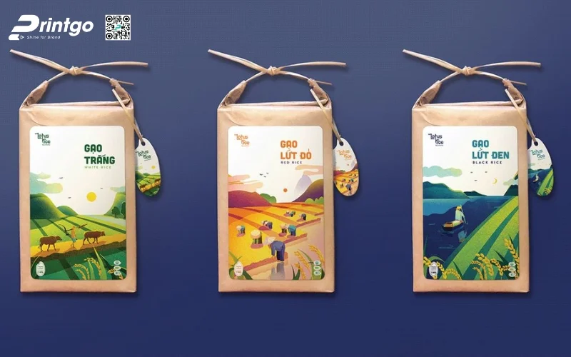 Bao bì gạo xuất khẩu dạng túi giấy Kraft