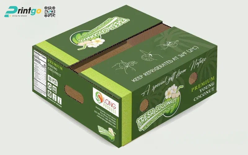 Mẫu thùng giấy đựng trái cây xuất khẩu dừa Mẫu thùng giấy đựng trái cây xuất khẩu dừa