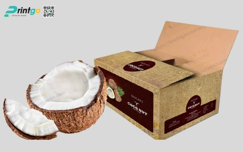 Mẫu thùng đựng dừa tươi xuất khẩu đạt chuẩn