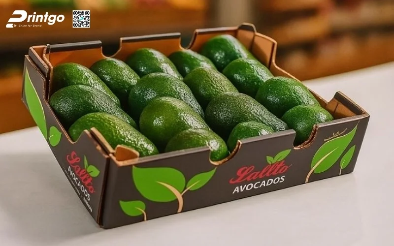 Mẫu thùng carton đóng hàng xuất khẩu hoa quả Mẫu thùng carton đóng hàng xuất khẩu hoa quả