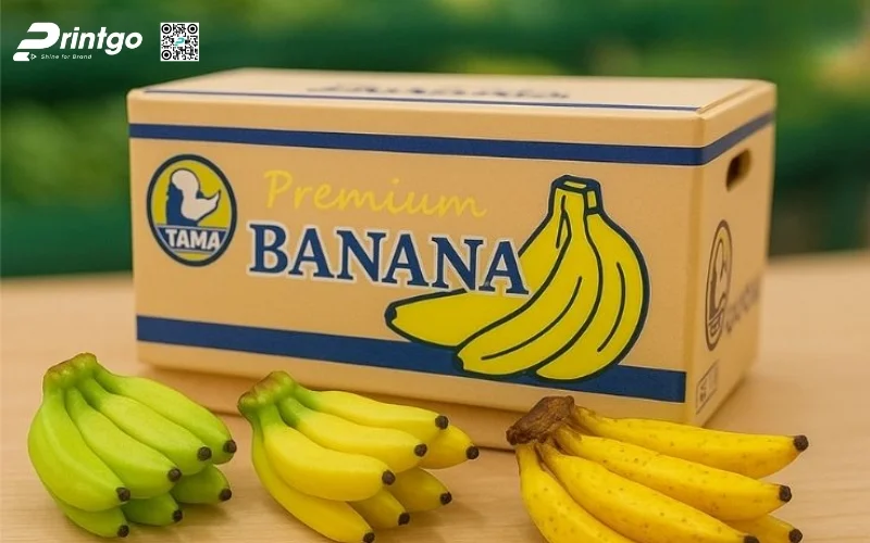 Mẫu bao bì xuất khẩu trái cây chuối Mẫu bao bì xuất khẩu trái cây chuối
