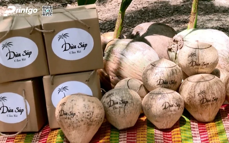 Mẫu thùng đựng dừa tươi xuất khẩu đạt chuẩn quốc tế