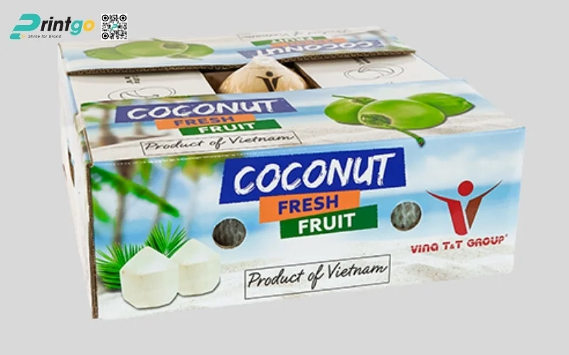 Mẫu thùng đựng dừa tươi xuất khẩu đạt chuẩn quốc tế