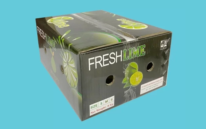 Khám phá các mẫu thùng carton xuất khẩu hàng hóa nông sản nổi bật Khám phá các mẫu thùng carton xuất khẩu hàng hóa nông sản nổi bật