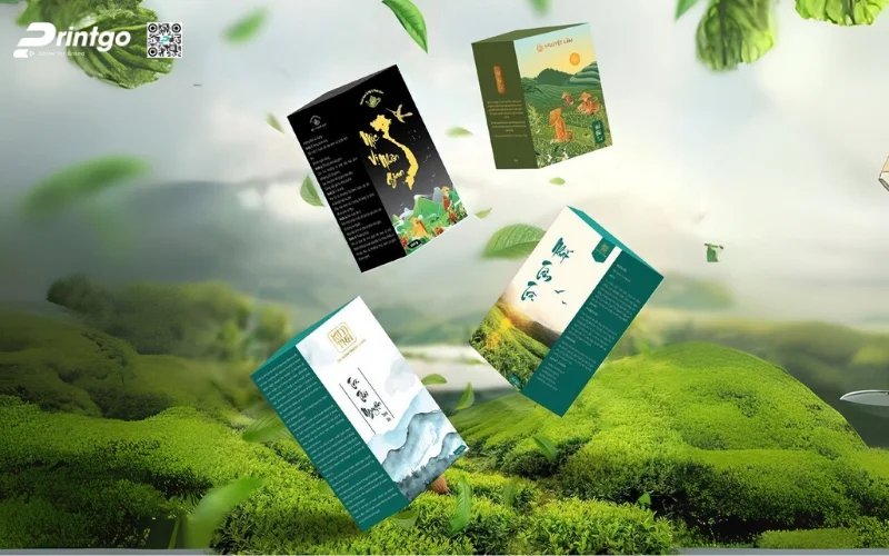 Mẫu bao bì trà xanh xuất khẩu dạng hộp carton mềm Mẫu bao bì trà xanh xuất khẩu dạng hộp carton mềm