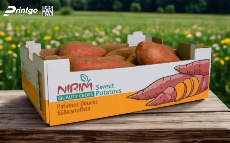 Mẫu thùng carton đóng hàng xuất khẩu rau củ Mẫu thùng carton đóng hàng xuất khẩu rau củ