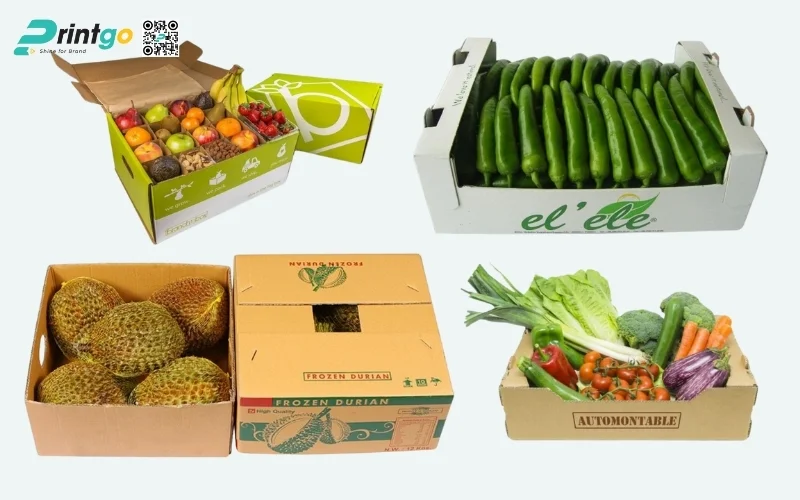 Mẫu thùng carton đóng hàng xuất khẩu hoa quả Mẫu thùng carton đóng hàng xuất khẩu hoa quả