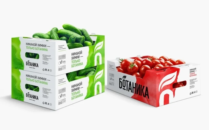Khám phá các mẫu thùng carton xuất khẩu hàng hóa nông sản nổi bật Khám phá các mẫu thùng carton xuất khẩu hàng hóa nông sản nổi bật