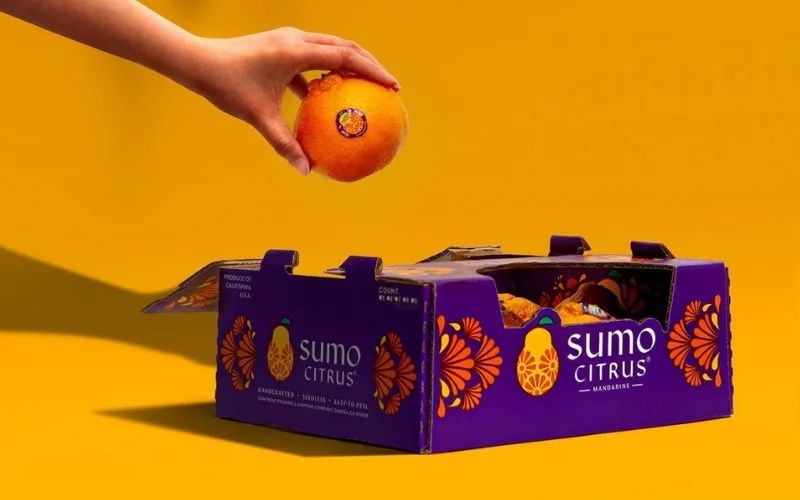 Khám phá các mẫu thùng carton xuất khẩu hàng hóa nông sản nổi bật Khám phá các mẫu thùng carton xuất khẩu hàng hóa nông sản nổi bật