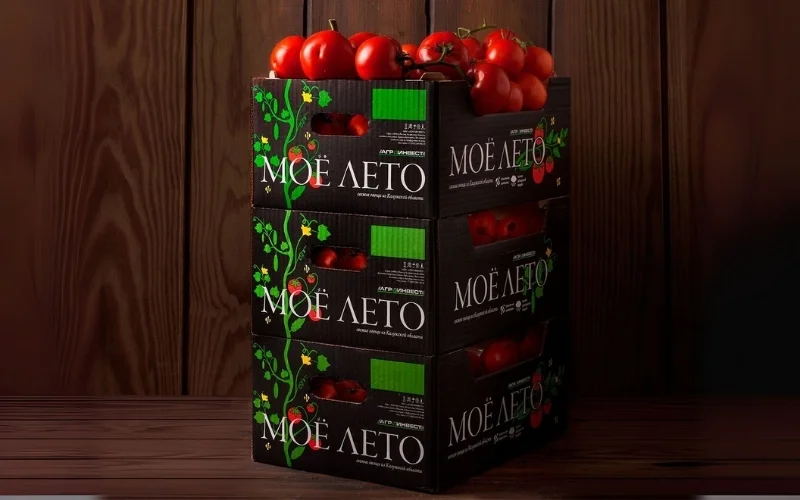 Khám phá các mẫu thùng carton xuất khẩu hàng hóa nông sản nổi bật Khám phá các mẫu thùng carton xuất khẩu hàng hóa nông sản nổi bật