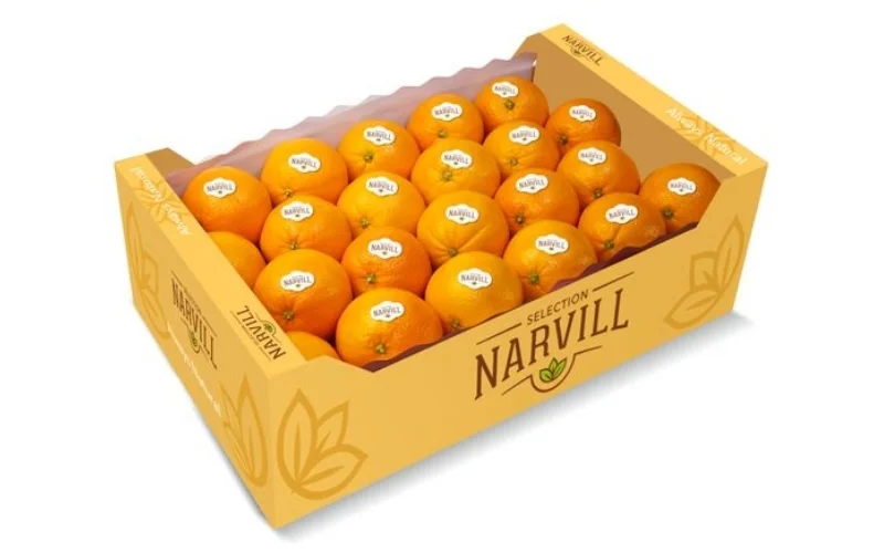 Khám phá các mẫu thùng carton xuất khẩu hàng hóa nông sản nổi bật Khám phá các mẫu thùng carton xuất khẩu hàng hóa nông sản nổi bật
