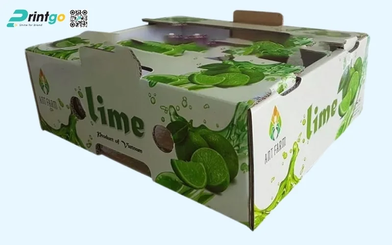 Mẫu bao bì xuất khẩu trái cây chanh Mẫu bao bì xuất khẩu trái cây chanh