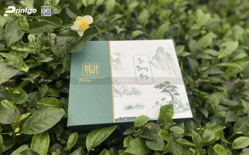 Mẫu bao bì trà xanh xuất khẩu dạng hộp cứng cao cấp Mẫu bao bì trà xanh xuất khẩu dạng hộp cứng cao cấp