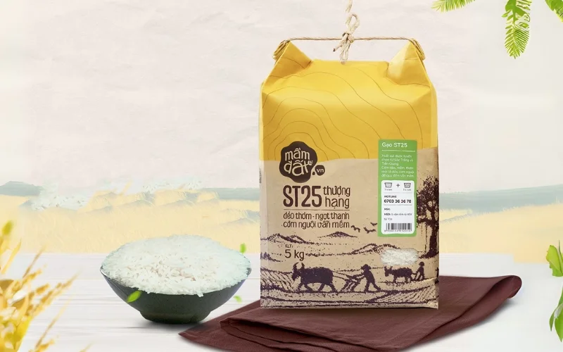 Mẫu in bao bì gạo 5kg - 10kg phổ biến cho hộ kinh doanh nhỏ Mẫu in bao bì gạo 5kg - 10kg phổ biến cho hộ kinh doanh nhỏ