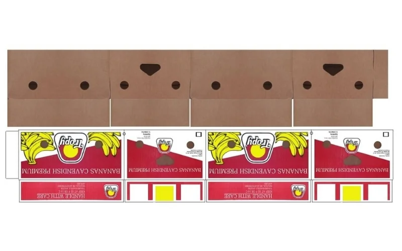 Một số mẫu form thùng carton xuất khẩu nổi bật nhất 2025 Một số mẫu form thùng carton xuất khẩu nổi bật nhất 2025