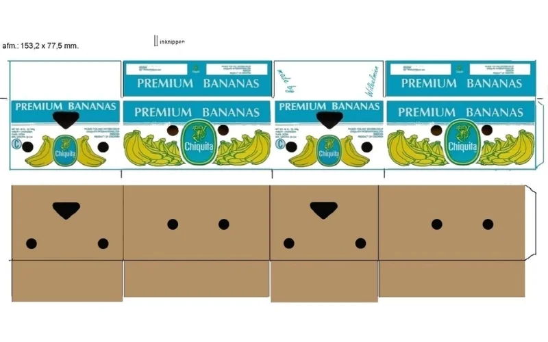 Một số mẫu form thùng carton xuất khẩu nổi bật nhất 2025 Một số mẫu form thùng carton xuất khẩu nổi bật nhất 2025