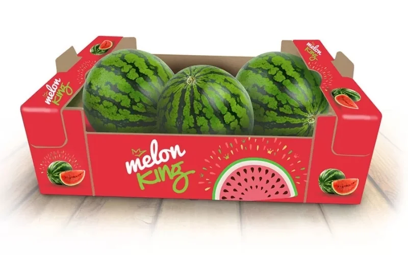 Khám phá các mẫu thùng carton xuất khẩu hàng hóa nông sản nổi bật Khám phá các mẫu thùng carton xuất khẩu hàng hóa nông sản nổi bật