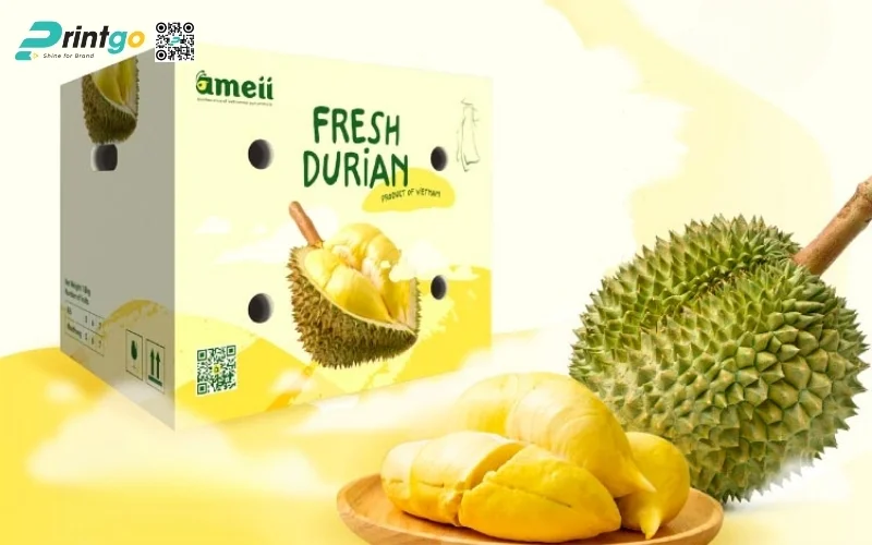 Mẫu thùng carton đựng trái cây xuất khẩu sầu riêng Mẫu thùng carton đựng trái cây xuất khẩu sầu riêng