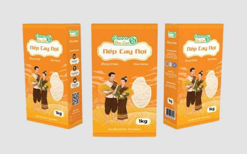 Mẫu hộp đựng gạo thiết kế sang trọng - cao cấp Mẫu hộp đựng gạo thiết kế sang trọng - cao cấp