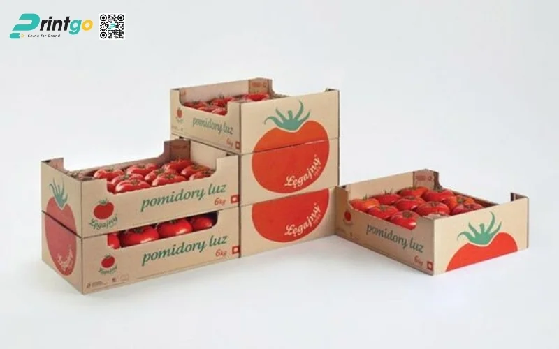 Mẫu thùng carton đóng hàng xuất khẩu hoa quả Mẫu thùng carton đóng hàng xuất khẩu hoa quả