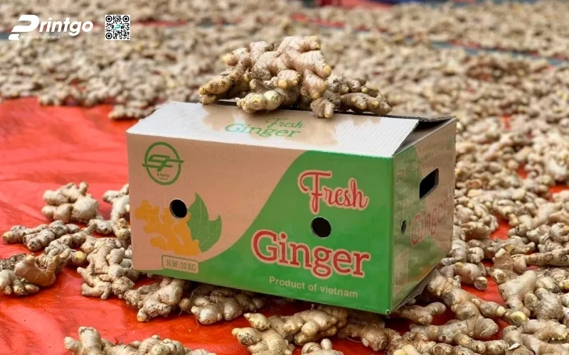 Mẫu thùng carton đóng hàng xuất khẩu rau củ Mẫu thùng carton đóng hàng xuất khẩu rau củ
