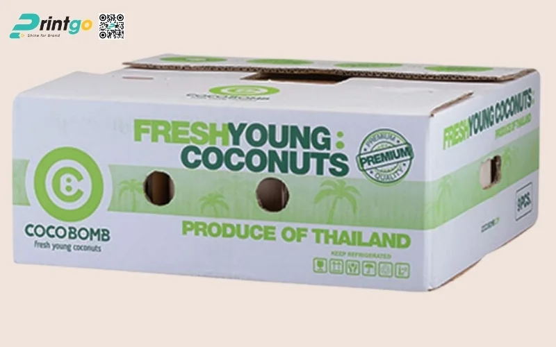 Mẫu thùng đựng dừa tươi xuất khẩu đạt chuẩn quốc tế 2026