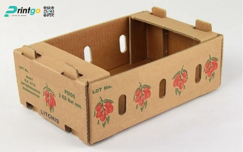 Mẫu thùng carton đóng hàng xuất khẩu hoa quả Mẫu thùng carton đóng hàng xuất khẩu hoa quả
