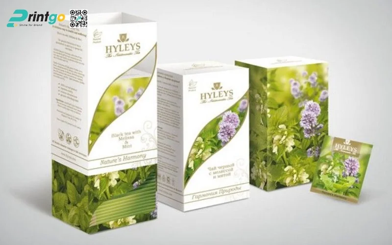 Mẫu bao bì trà xanh xuất khẩu dạng hộp carton mềm Mẫu bao bì trà xanh xuất khẩu dạng hộp carton mềm