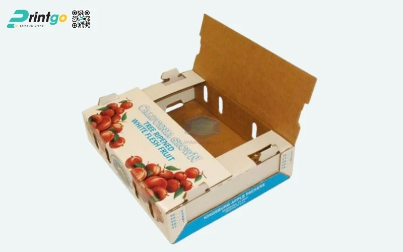 Mẫu thùng carton đóng hàng xuất khẩu hoa quả Mẫu thùng carton đóng hàng xuất khẩu hoa quả