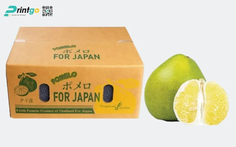 Mẫu thùng carton đóng hàng xuất khẩu hoa quả Mẫu thùng carton đóng hàng xuất khẩu hoa quả