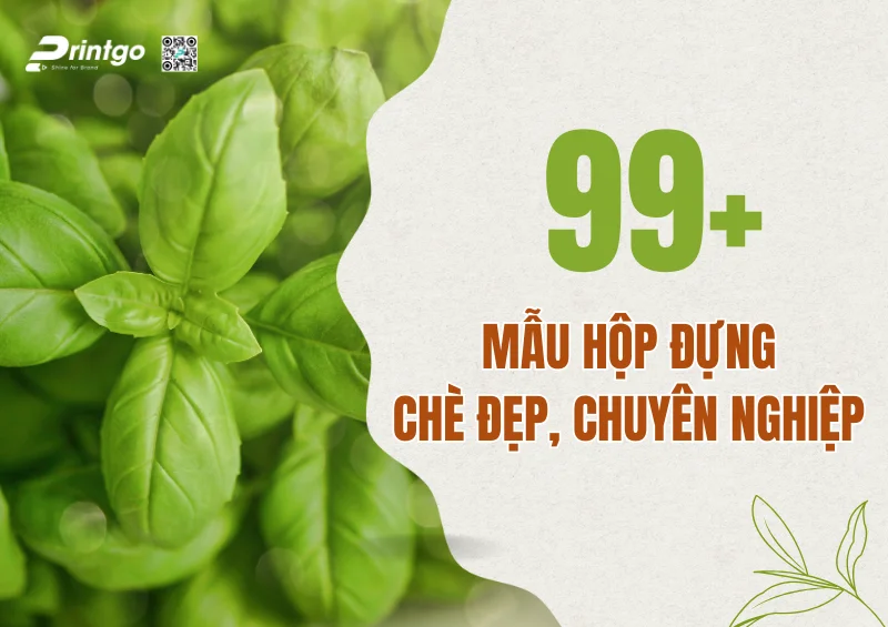Khám phá xu hướng lựa chọn hộp đựng chè đẹp trên thị trường hiện nay