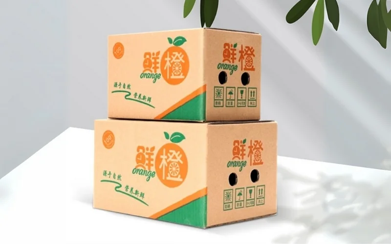 Khám phá các mẫu thùng carton xuất khẩu hàng hóa nông sản nổi bật Khám phá các mẫu thùng carton xuất khẩu hàng hóa nông sản nổi bật