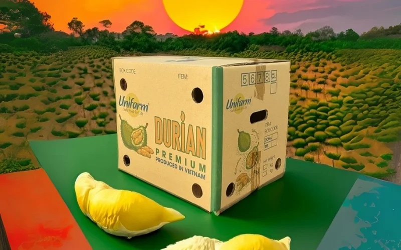 Khám phá các mẫu thùng carton xuất khẩu hàng hóa nông sản nổi bật Khám phá các mẫu thùng carton xuất khẩu hàng hóa nông sản nổi bật