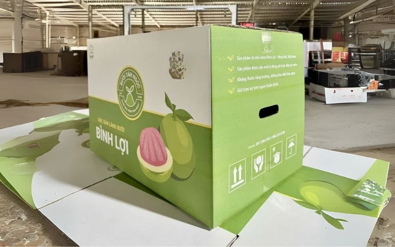 Khám phá các mẫu thùng carton xuất khẩu hàng hóa nông sản nổi bật Khám phá các mẫu thùng carton xuất khẩu hàng hóa nông sản nổi bật