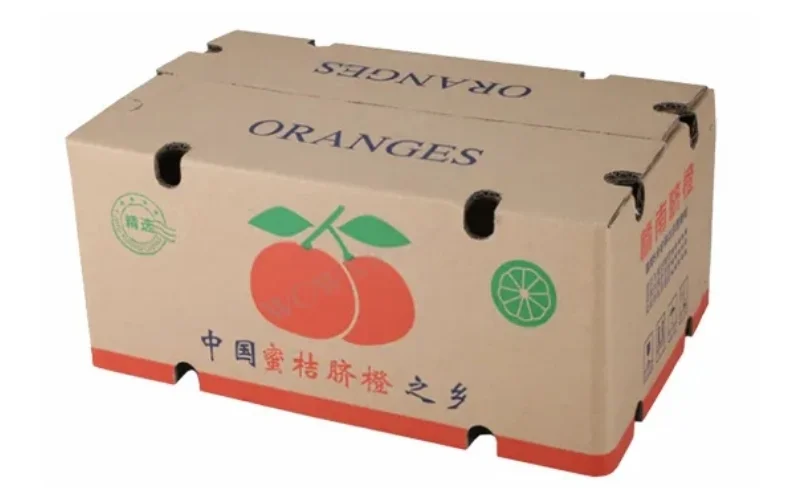 Khám phá các mẫu thùng carton xuất khẩu hàng hóa nông sản nổi bật Khám phá các mẫu thùng carton xuất khẩu hàng hóa nông sản nổi bật