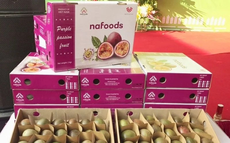 Khám phá các mẫu thùng carton xuất khẩu hàng hóa nông sản nổi bật Khám phá các mẫu thùng carton xuất khẩu hàng hóa nông sản nổi bật