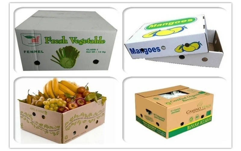 Khám phá các mẫu thùng carton xuất khẩu hàng hóa nông sản nổi bật Khám phá các mẫu thùng carton xuất khẩu hàng hóa nông sản nổi bật