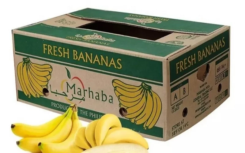 Khám phá các mẫu thùng carton xuất khẩu hàng hóa nông sản nổi bật Khám phá các mẫu thùng carton xuất khẩu hàng hóa nông sản nổi bật