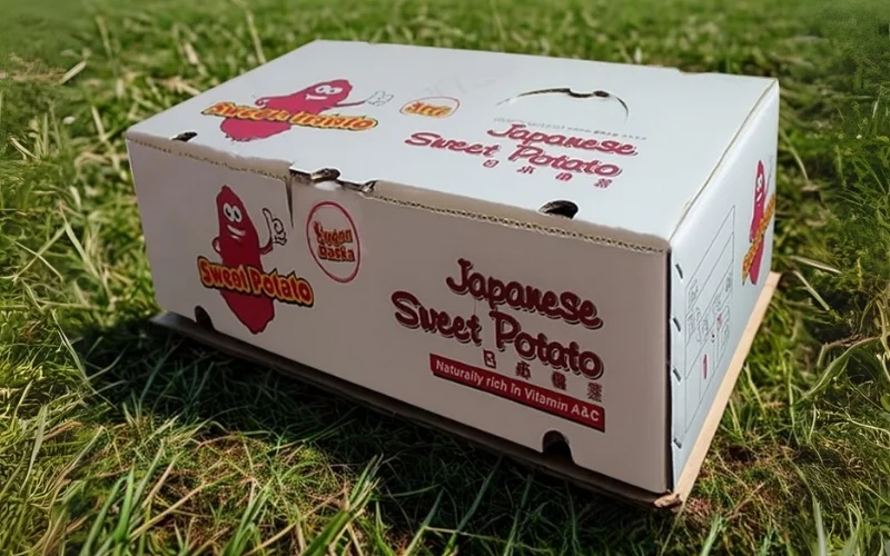 Khám phá các mẫu thùng carton xuất khẩu hàng hóa nông sản nổi bật Khám phá các mẫu thùng carton xuất khẩu hàng hóa nông sản nổi bật