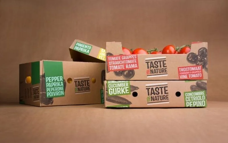 Khám phá các mẫu thùng carton xuất khẩu hàng hóa nông sản nổi bật Khám phá các mẫu thùng carton xuất khẩu hàng hóa nông sản nổi bật
