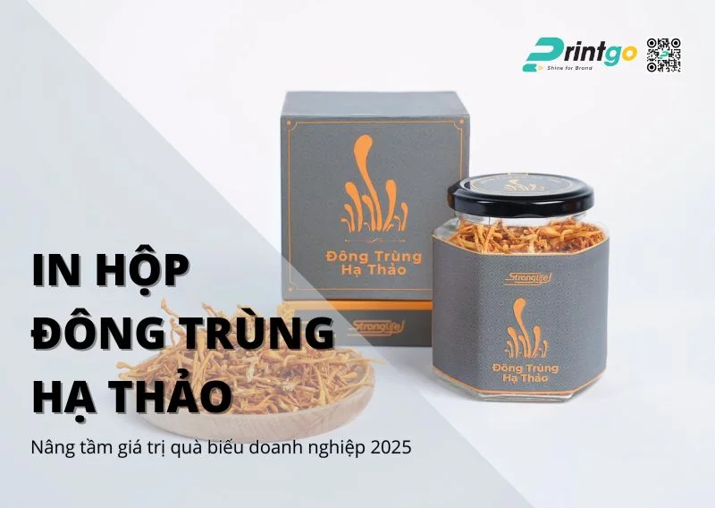 In hộp đông trùng hạ thảo - Nâng tầm giá trị quà biếu doanh nghiệp 2025
