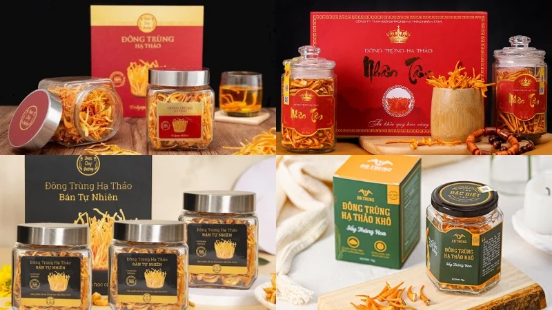 Lợi ích mà in hộp đông trùng hạ thảo mang lại cho doanh nghiệp 