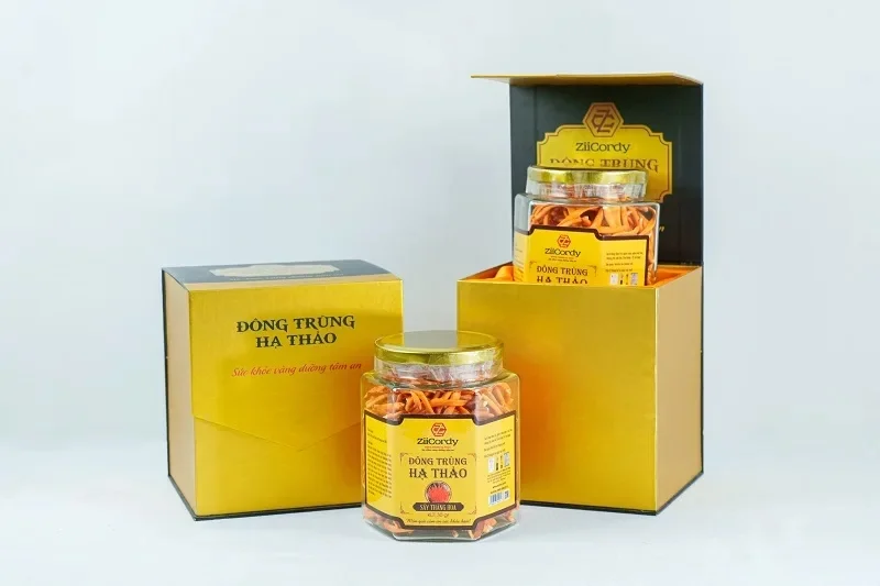 Mẫu hộp đông trùng hạ thảo độc đáo