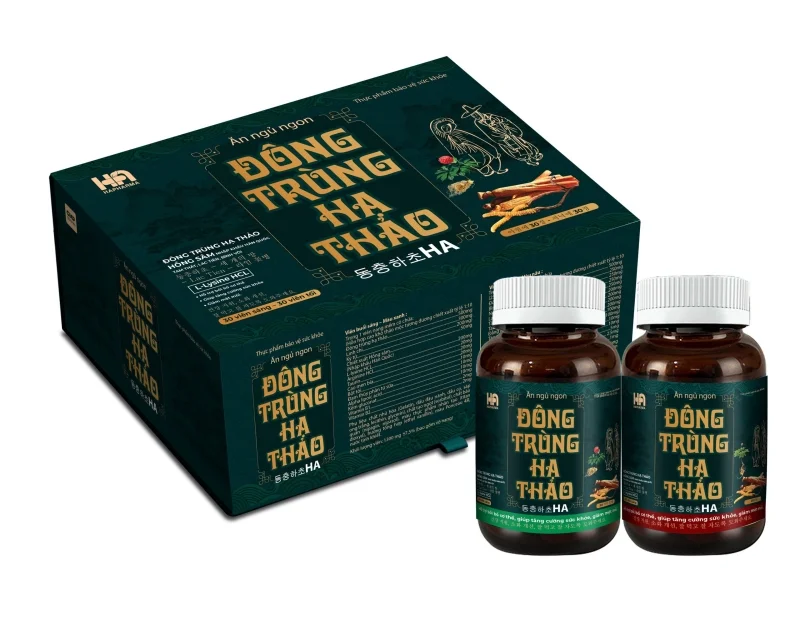 Mẫu hộp đông trùng hạ thảo bán chạy